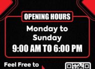 HONDA STEPWAGON SPADA 2010