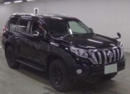 TOYOTA LANDCRUISER PRADO PETROL